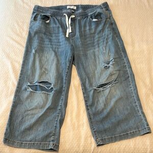 Lane Bryant Blue Denim